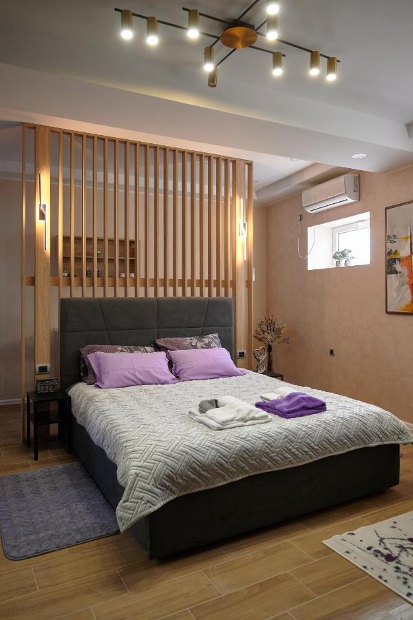 Vanimi Lux Apartmani Kikinda エクステリア 写真